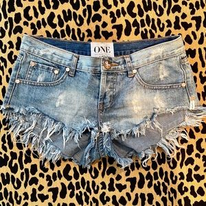 One teaspoon bonitas